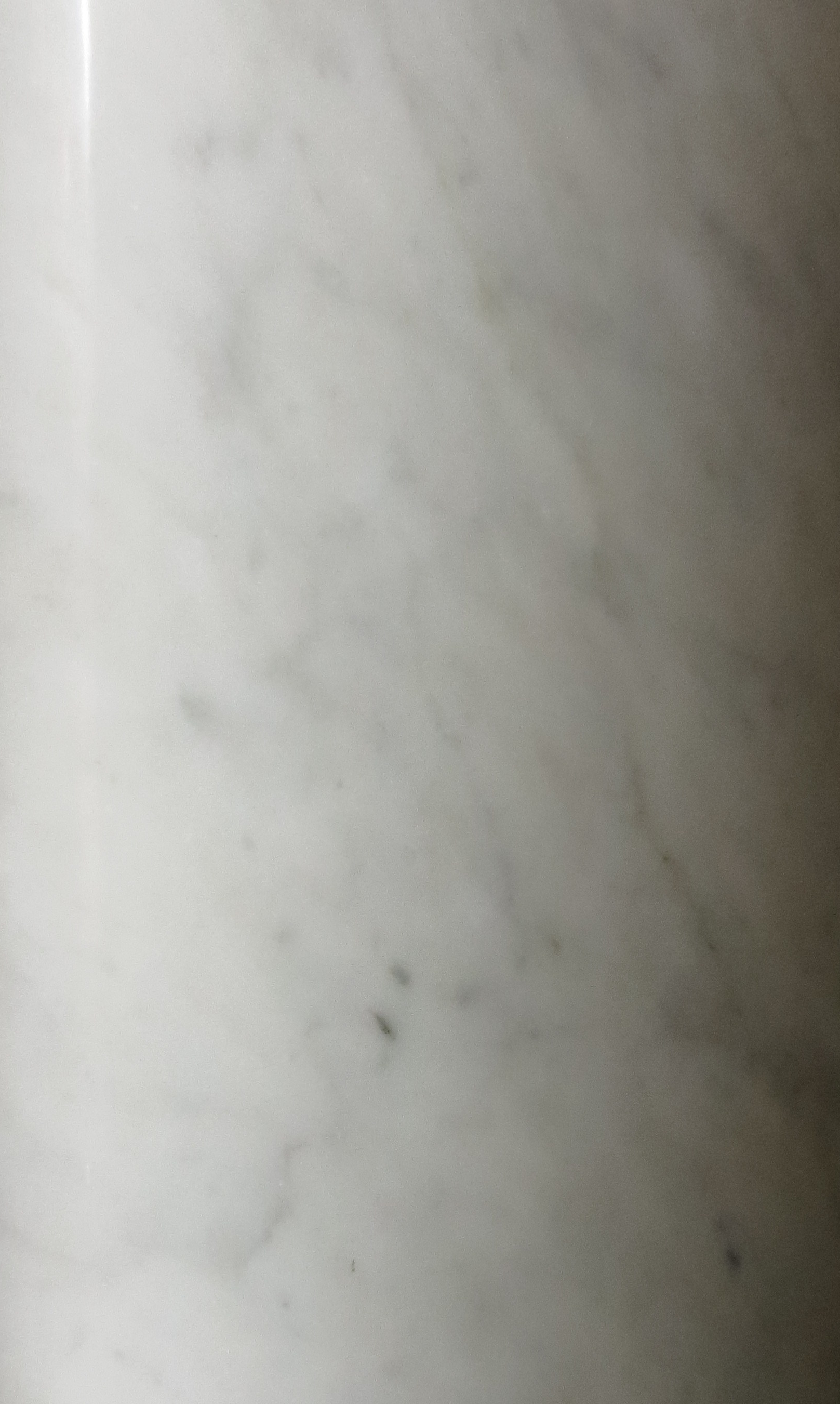 White Carrara Marble Tile and countertops Santa Rosa Tile Supply, Inc.