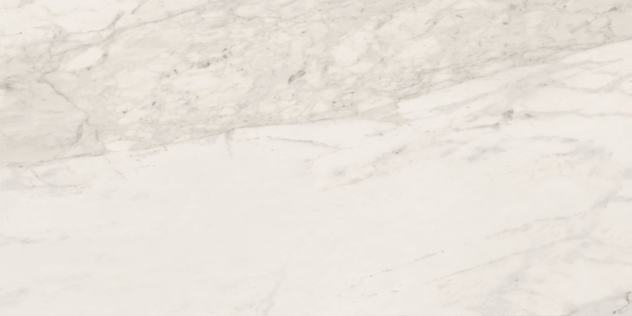 Carara Select 2.0 Calacatta Renoire Natural Matte Tile and