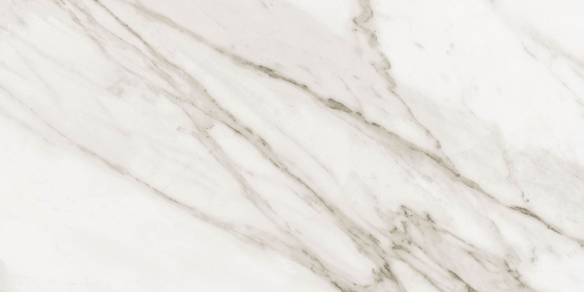 Precious Series Calacatta Tile and countertops Santa Rosa Tile